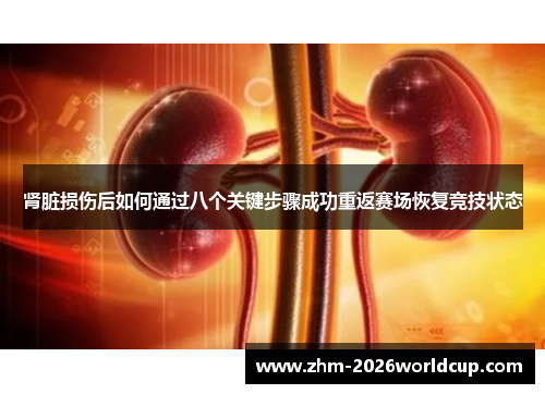肾脏损伤后如何通过八个关键步骤成功重返赛场恢复竞技状态
