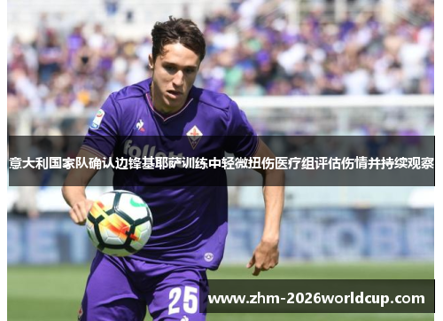 意大利国家队确认边锋基耶萨训练中轻微扭伤医疗组评估伤情并持续观察