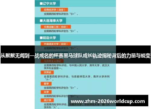从默默无闻到一战成名的杯赛黑马球队成长轨迹揭秘背后的力量与蜕变
